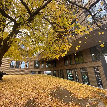 Tonismae Premium Apartment With Sauna Tallin Zewnętrze zdjęcie